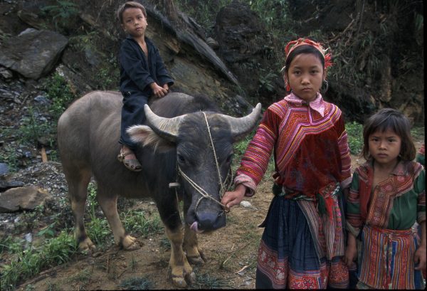 Hmong children. The Hmong are a recognised ethnic minority in many countries, including Thailand, Laos and Vietnam, but not China. (Photo: Jeremy Horner / Panos Pictures).