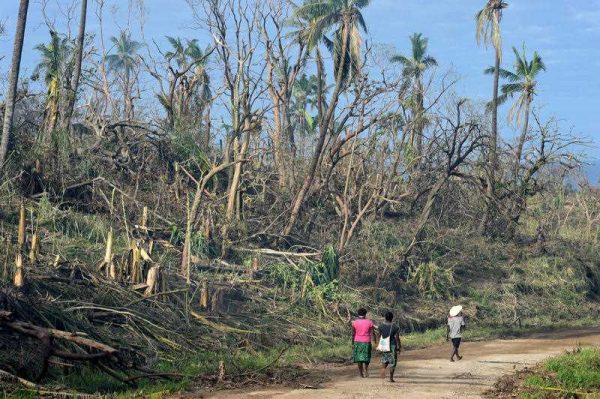 Villagers walk past damaged vegetation on Tanna Island, Vanuatu, 19 March 2015 after Cyclone Pam. (Photo: AAP)
