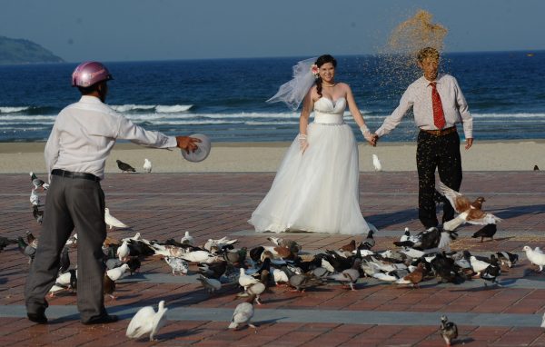 A young couple walking among pigeons as they pose for their wedding photographs on a beach in the central city of Danang (Photo: AAP).