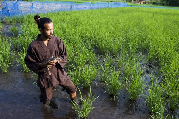 Japanese farmer Tepe Suzuki holds a duck in his organic heirloom rice field in the town of Isumi, Chiba province, east of Tokyo, Japan, 15 July 2008. (Photo: AAP)