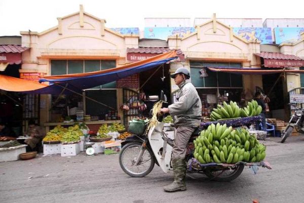 A man rides his motorbike which is loaded with bananas in Hanoi, Vietnam, 01 January 2016. (Photo AAP).