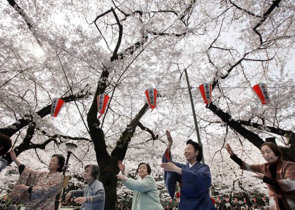 Teacher Miya Edakawa, second from right, leads a group of elderly women in their dance routines at a cherry blossoms viewing party at Tokyo’s Ueno Park. Dancing is believed to be beneficial to older people’s welfare. Despite high education levels, women’s skills have been under-used in Japan’s workforce. (Photo: AAP).