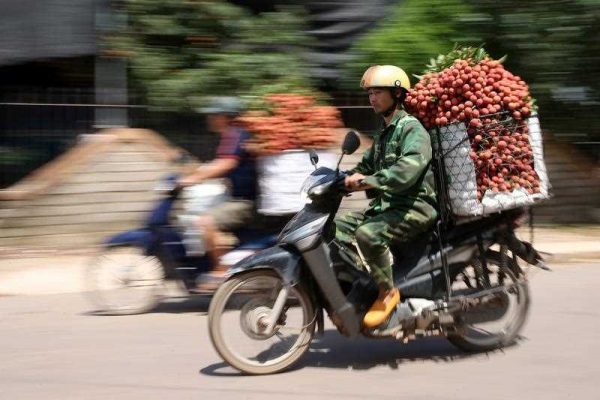 A man carries lychees on a motorbike on a street in Luc Ngan, Vietnam, 22 June 2016. (Photo: AAP).