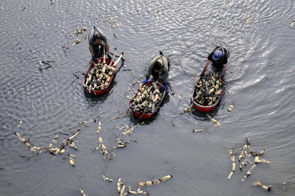 Men pick up lotus roots at a pond in Linyi, Shandong Province, China, 12 April 2016. (Photo: Reuters)