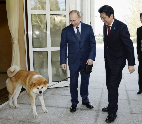 Russian President Vladimir Putin and his dog named Yume welcome Japanese Prime Minister Shinzo Abe (Photo: Reuters/Kyodo).