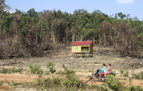 What is left of Botum Sakor National Park in Koh Kong province, after years of deforestation, 12 February, 2012 (Photo: Reuters/Samrang Pring).