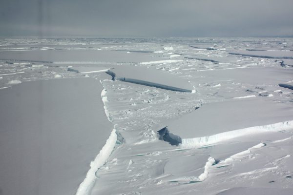 A view of icebergs remaining after a break-up of Wilkins ice shelf on the Antarctic Peninsula, 19 January 2009. (Photo: Reuters/Alister Doyle).