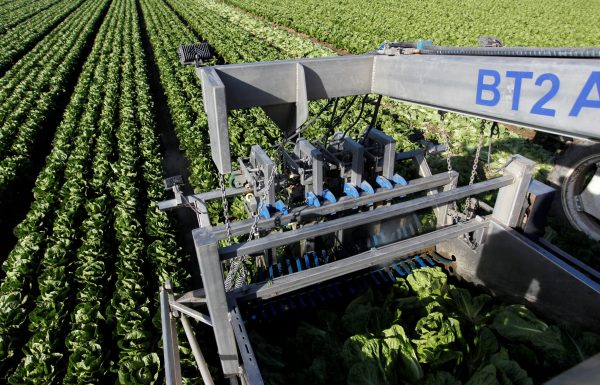A water jet harvester works rows of romaine lettuce near Soledad, California, United States, 3 May, 2017 (Photo: Reuters/Michael Fiala).