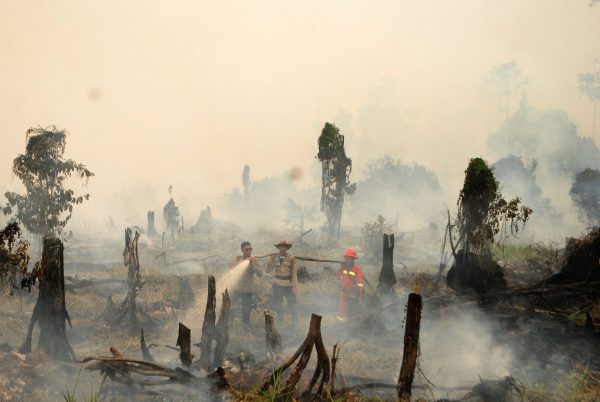 Police and a fire fighter from a local forestry company try to extinguish a forest fire in the village in Rokan Hulu regency, Riau province, Sumatra, Indonesia 28 August 2016. (Photo: REUTERS/Antara Foto/Rony Muharrman).