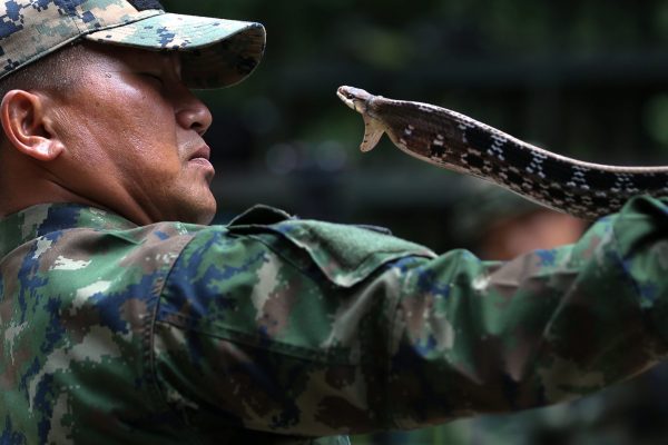 A Thai Navy instructor demonstrates how to catch a snake during a jungle survival exercise as part of the 'Cobra Gold 2018' joint military exercise, at a military base in Chonburi province, Thailand, 19 February 2018 (Photo: Reuters/Athit Perawongmetha).