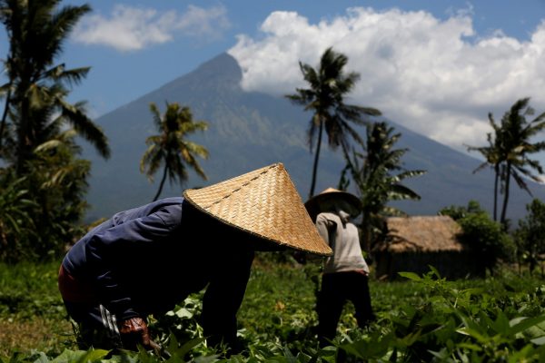 Mount Agung, a volcano which had its alert status raised to the highest level last week, is seen as farmers tend their crops near Amed, on the resort island of Bali, Indonesia, 29 September 2017 (Photo: Reuters/Darren Whiteside).