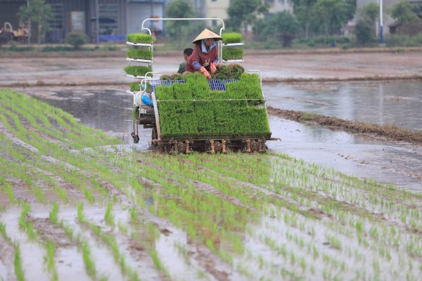 Farmers transplant rice seedlings with a rice transplanter at a paddy field in Hengyang, Hunan province, China, 20 April 2018 (Photo: Reuters/Stringer).