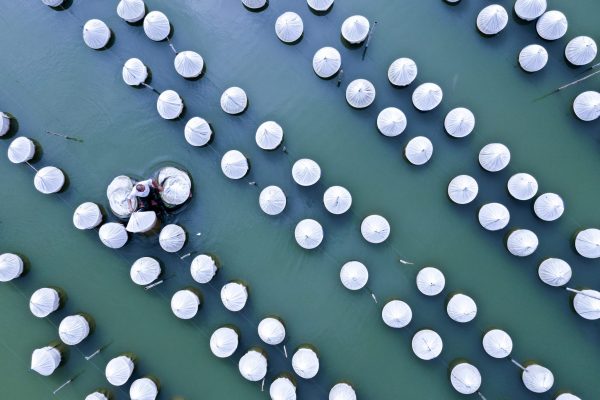 A worker collects fishing nets at an aquaculture company in Xuzhou, Jiangsu province, China, 30 August 2018 (Photo: Reuters/Stringer).