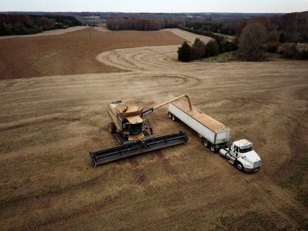 A crop of soybeans being harvested at a farm in Hickory, North Carolina, United States, 29 November 2018 (Photo: Reuters/Charles Mostoller).