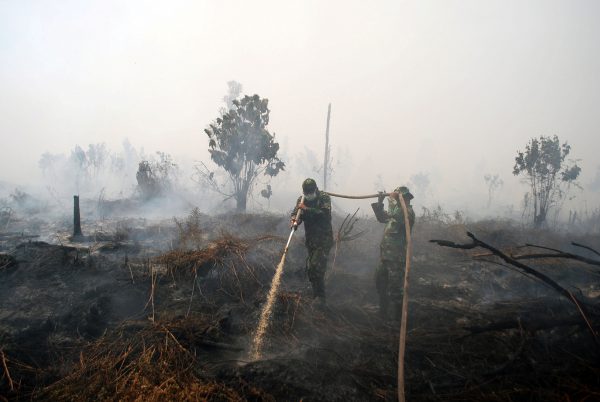 Indonesian soldiers try to extinguish a peat fire in Kampar, Riau, Sumatra island, Indonesia, 6 October 6, 2016 in this photo taken by Antara Foto. Picture taken October 2016 (Photo: Antara Foto/Rony Muharrman/via Reuters).