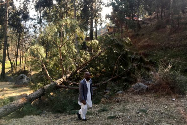 A man walks near damaged trees after Indian military aircrafts released payload, according to Pakistani officials, in Jaba village, Balakot, Pakistan, 28 February 2019 (Photo: Reuters/Asif Shahzad).