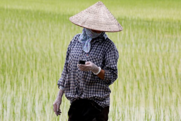 A farmer reads a message on a cell phone while working on a rice paddy field outside Hanoi, Vietnam, 3 July 2017 (Photo: Reuters/Kham).
