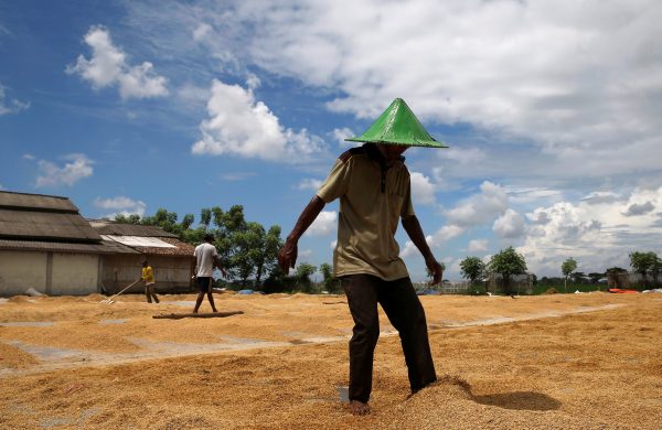 Workers spread rice grains during a drying process after a harvest at Pontang village in Serang, Banten province, Indonesia, 26 April 2018 (Photo: Reuters/Beawiharta).