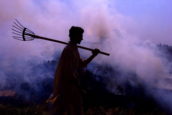 An Indian farmer walks through his paddy field as he burns paddy husk in Chandigarh, 21 October 2003 (Photo: Reuters/ Kamal Kishore).