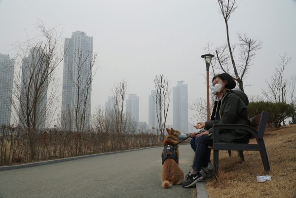 Cho Eun-hye takes a rest while walking her Korean Jindo dog, both wearing masks, on a poor air quality day in Incheon, South Korea, 15 March 2019 (Photo: Reuters/Hyun Young Yi).