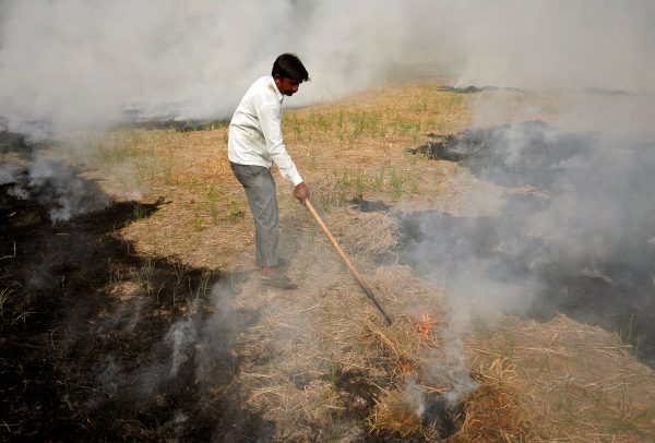 A farmer burns paddy waste stubble in a field on the outskirts of Ahmedabad, India, 6 November 6 2019 (Photo: Reuters/Amit Dave).