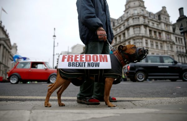 A man holds a dog on a leash with clothes on and a sign on Brexit day in London, Britain, 31 January 2020. (Photo: REUTERS/Henry Nicholls).