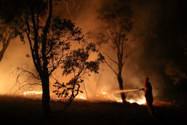 A firefighter from a local brigade works to extinguish flames after a bushfire burnt through the area in Bredbo, New South Wales, Australia, 2 February 2020 (Photo: REUTERS/Loren Elliott).