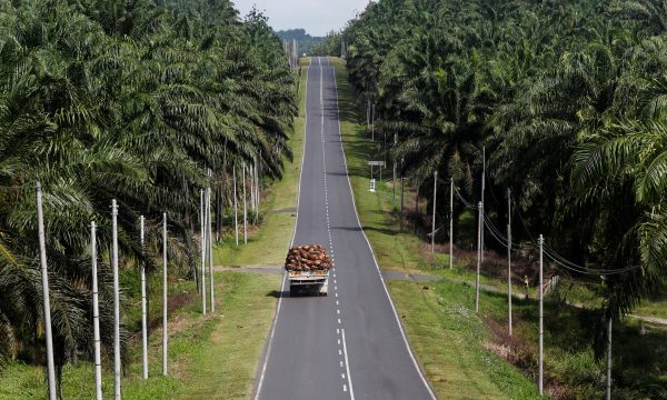 A truck carrying oil palm fruits passes through Felda Sahabat plantation in Lahad Datu in Malaysia's state of Sabah on Borneo island, 20 February 2013 (Photo: REUTERS/Bazuki Muhammad).