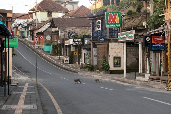 Monkeys cross an empty road amid the spread of coronavirus disease (COVID-19) in Ubud, Bali, Indonesia, 23 April 2020 (Photo: REUTERS/Nyimas Laula).