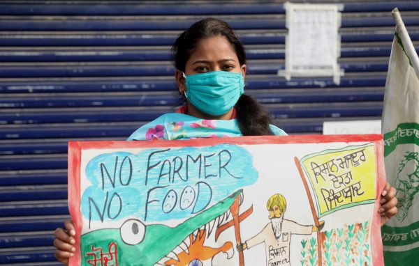 Thousands of farmers from Punjab, Haryana and other states gathered for the 28th day protesting against the centre's new agricultural law, Singhu, India (Photo: Reuters/ Naveen Sharma).