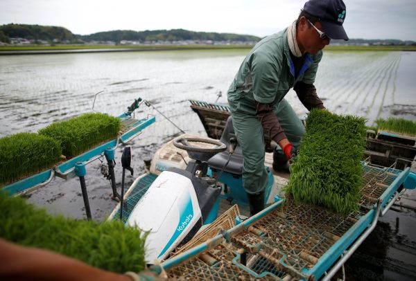 A farmer using rice planting machine conducts rice transplanting in Ryugasaki, Japan, 26 June, 2017 (Photo: Reuters/Issei Kato).