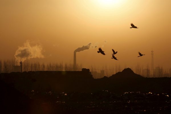 Birds fly over a closed steel factory where chimneys of another working factory are seen in background, in Tangshan, Hebei province, China, 27 February 2016 (Photo: Reuters/Kim Kyung-Hoon)
