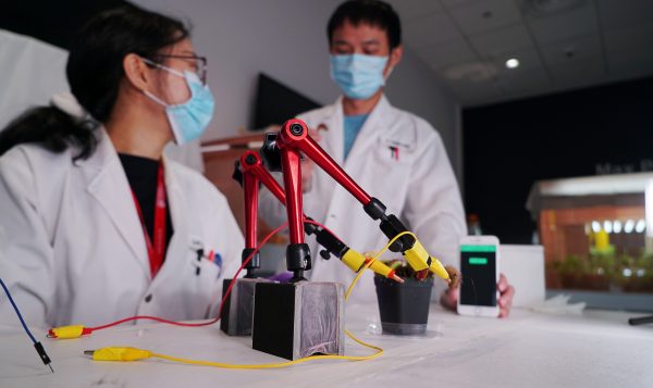 Researchers set up a contraption for an experiment involving Venus flytraps in a lab at Nanyang Technological University, Singapore, 27 April 2021 (Photo: Reuters/Joseph Campbell).