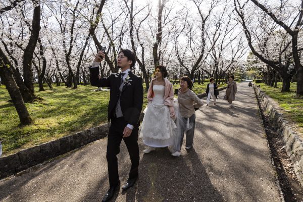 A couple in wedding attire walk through a grove of cherry blossoms at a park in Nagoya, Japan, 5 April 2019 (Ben Weller/AFLO via Reuters Connect).