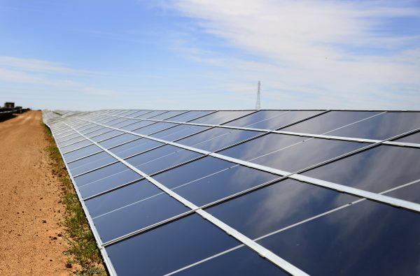 Rows of solar panels at the Greenough River Solar project near the town of Walkaway, Australia, 10 October 2012 (PHOTO: Rebekah Kebede via REUTERS)