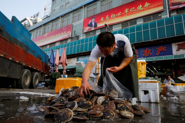 A man picks out clams from a pile at the seafood section of a fish market in Beijing, China, 27 June 2018 (Photo: Reuters/Thomas Peter).