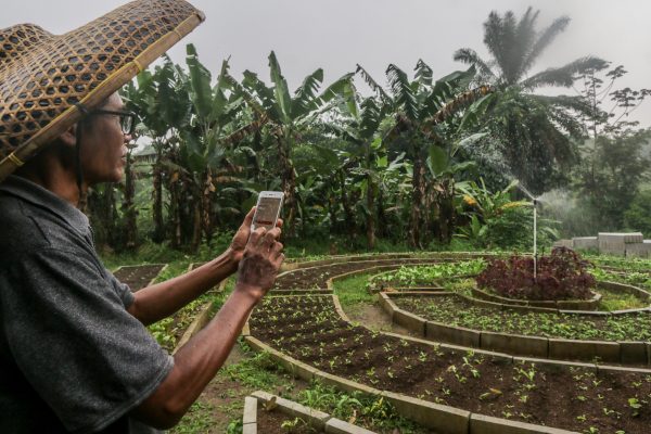 An Indonesian farmer using his mobile phone to spray a plant in a field in Bogor, West Java, Indonesia, 18 February 2022 (Photo: Reuters/Andi M Ridwan/INA Photo Agency/Sipa USA).
