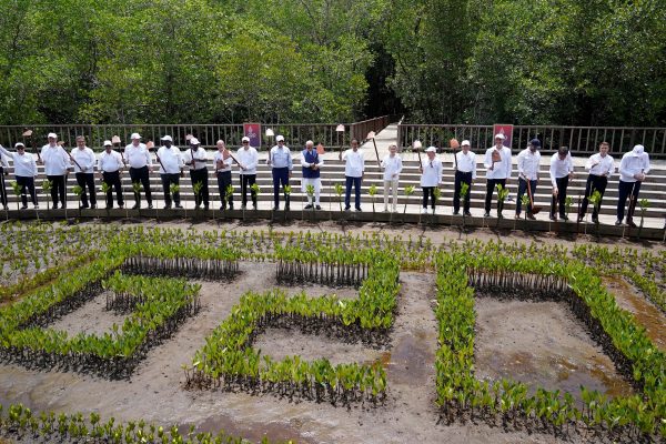 Leaders raise their garden hoes for a group photo during a tree planting event at the Taman Hutan Raya Ngurah Rai Mangrove Forest, on the sidelines of the G20 summit meeting on Wednesday 16 November 2022 in Denpasar, Bali, Indonesia (Photo: Reuters/Alex Brandon/Pool).