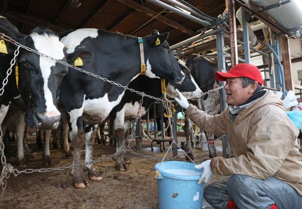 A farmer Hiroshi Nagata who raises cows is pictured at his farm in Kurume City, Fukuoka Prefecture, Japan, 2 March 2023 (Photo: Reuters/The Yomiuri Shimbun)