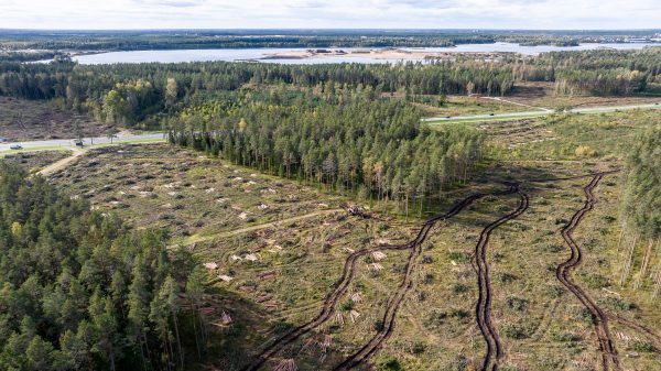 Deforestation of the Rail Baltica route. Rail Baltica is a greenfield rail transport infrastructure project with a goal to integrate the Baltic States in the European rail network. The project includes five European Union countries - Poland, Lithuania, Latvia, Estonia and indirectly also Finland, Tallinn, Estonia, 6 October 2023 (Photo: Reuters/Sander Ilvest).