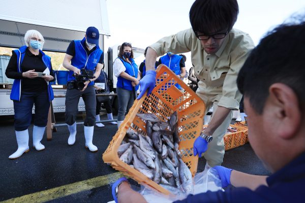 International Atomic Energy Agency officials check marine products collected for inspection in Iwaki City, Fukushima Prefecture on 19 October 2023 (Photo: Kentaro Tominaga/The Yomiuri Shimbun via Reuters).
