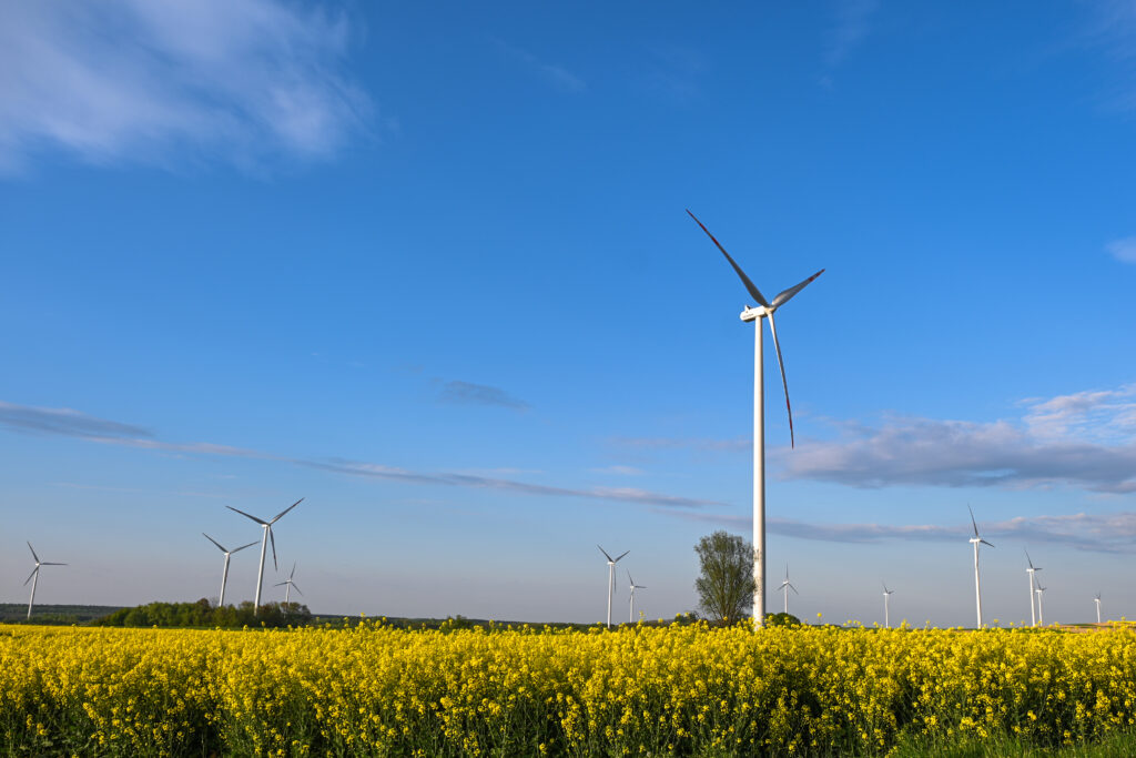 Newly installed wind turbines, Markowa, Poland, 14 May 2023, (Photo: Reuters/Artur Widak).