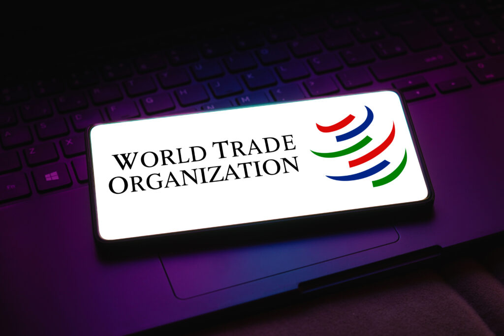 The World Trade Organization (WTO) logo is displayed on a smartphone screen. (Photo: Reuters/Rafael Henrique).